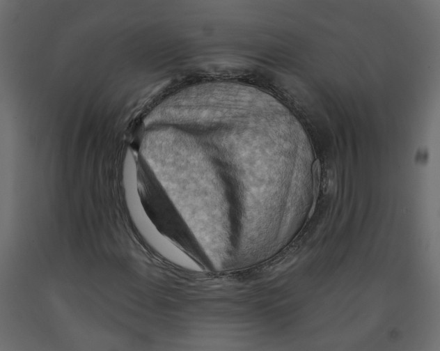 X0000092111108200710101137