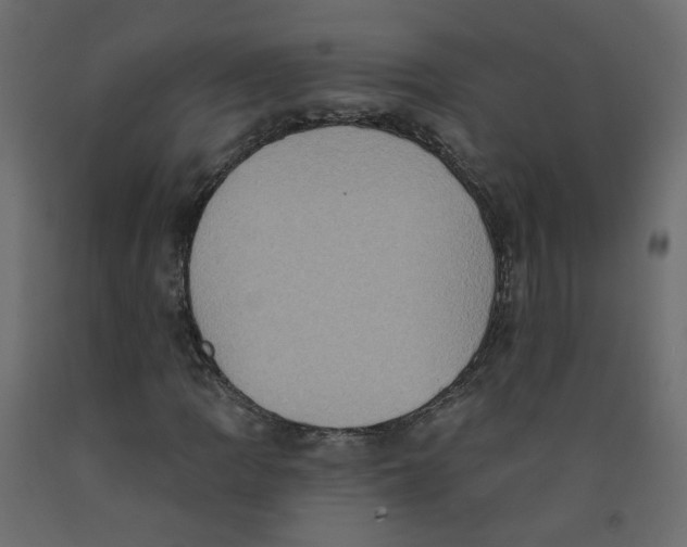 X0000092111109200710101137