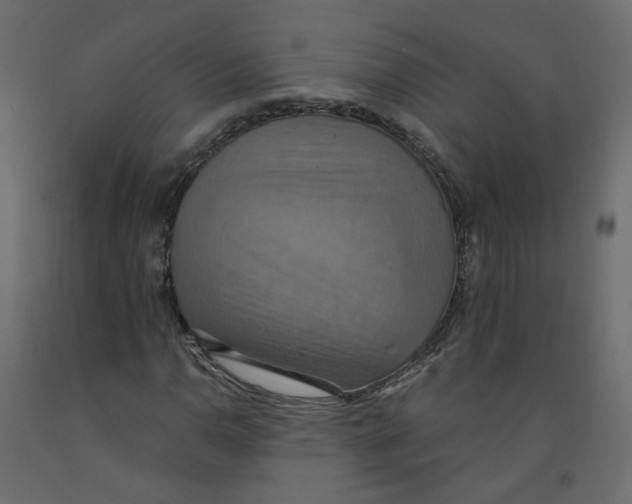 X0000092111110200710101137
