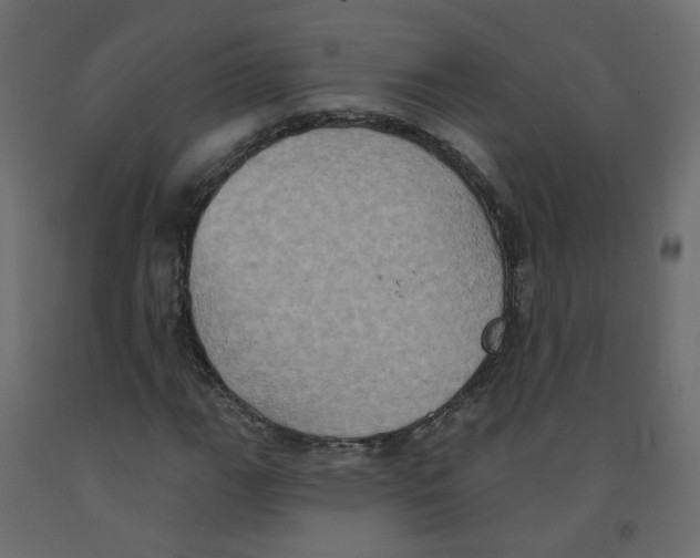 X0000092111111200710101137