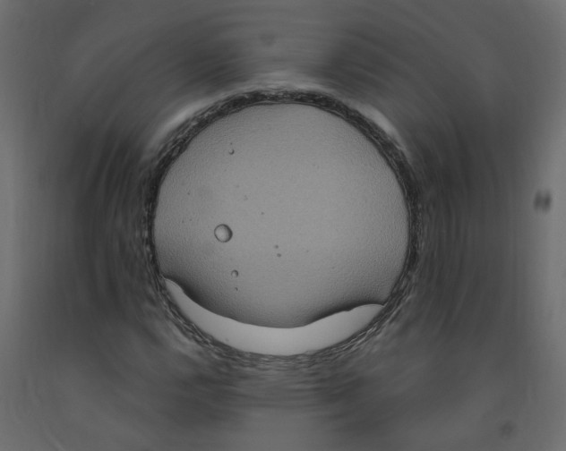 X0000092111112200710101137