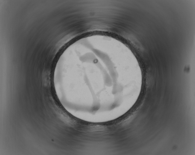 X0000092111113200710101137