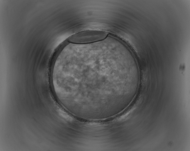 X0000092111114200710101137