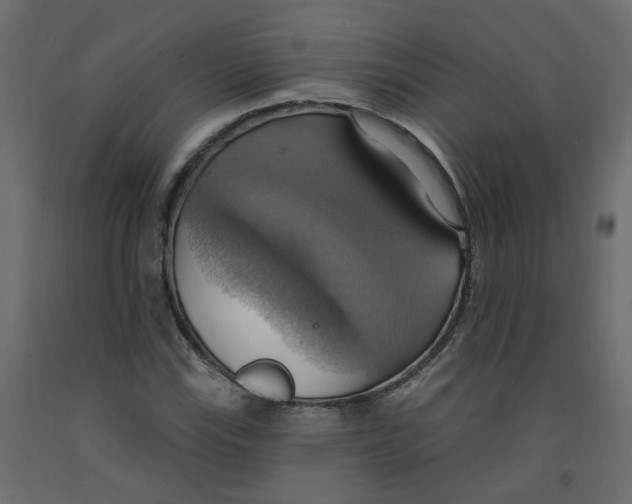 X0000092111115200710101137