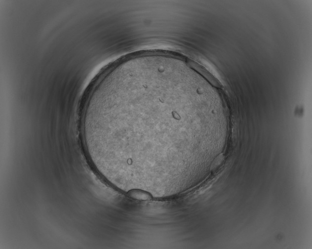 X0000092111116200710101137