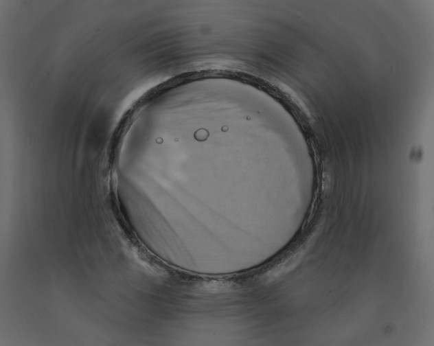 X0000092111117200710101137