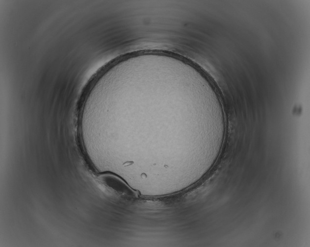X0000092111119200710101137