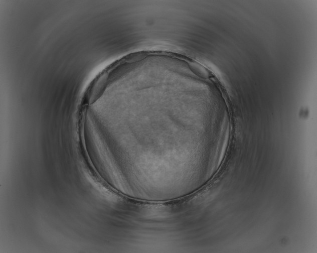 X0000092111120200710101137