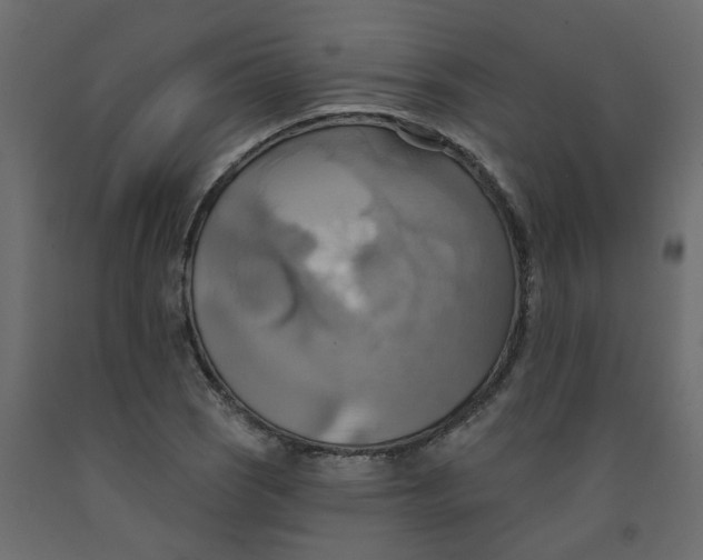 X0000092111121200710101137