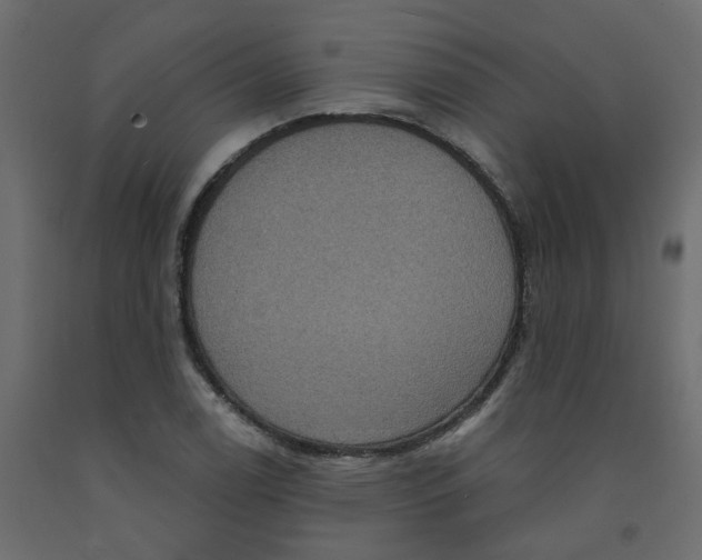 X0000092111122200710101137