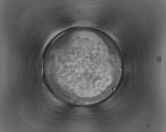 X0000092111123200710101137