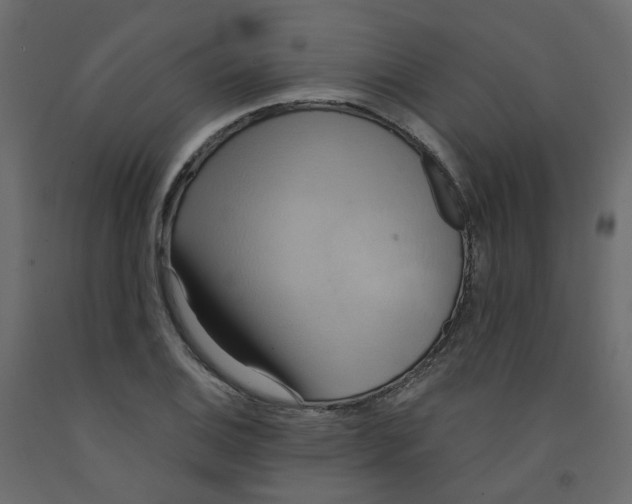 X0000092111124200710101137