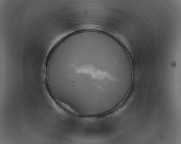 X0000092111125200710101137