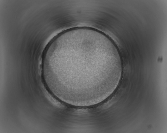 X0000092111126200710101137
