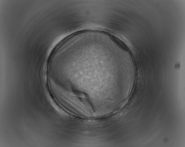 X0000092111128200710101137