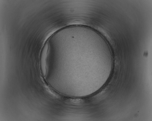 X0000092111129200710101137