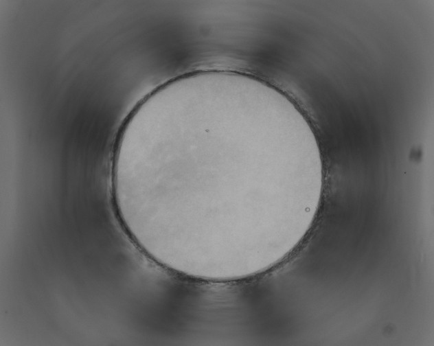 X0000092111130200710101137