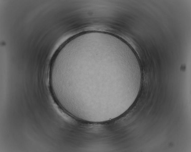 X0000092111131200710101138