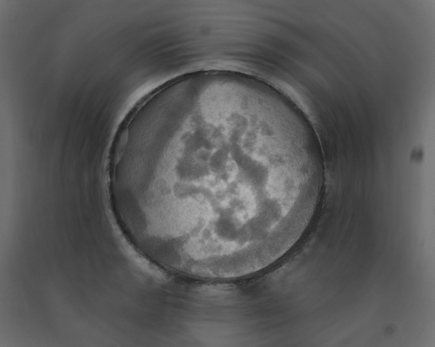 X0000092111133200710101138
