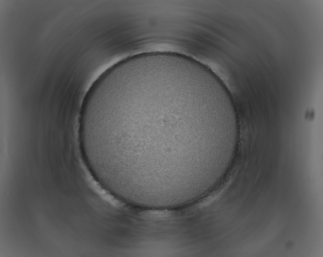 X0000092111134200710101138