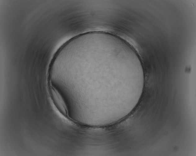 X0000092111135200710101138