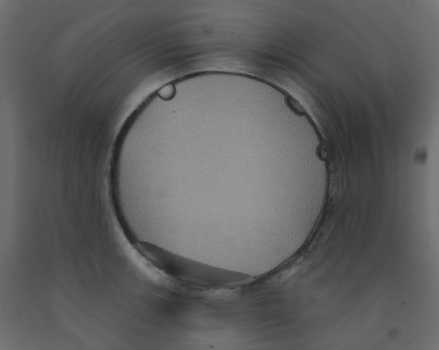 X0000092111139200710101138