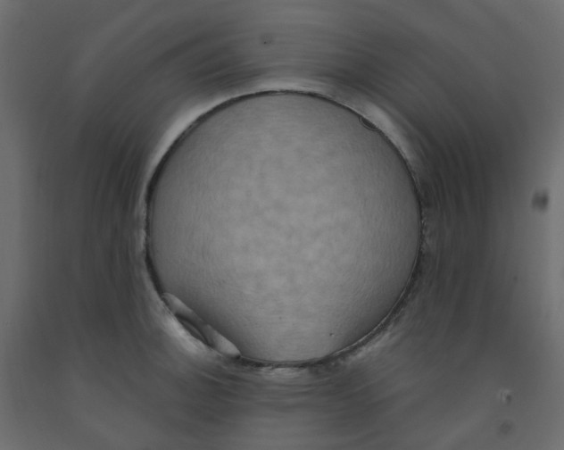 X0000092111140200710101138