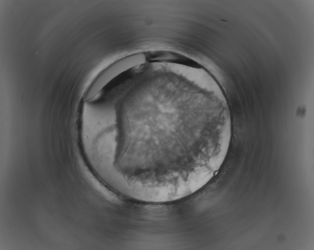 X0000092111142200710101138