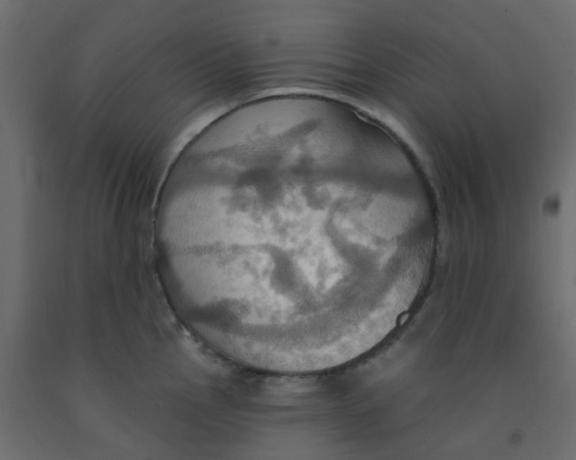 X0000092111145200710101138