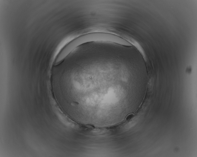 X0000092111146200710101138