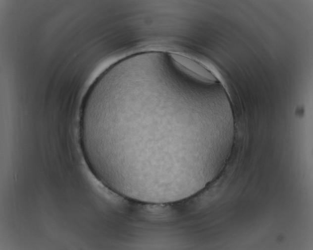 X0000092111147200710101138