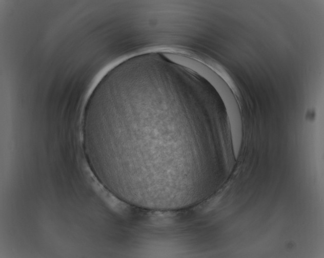 X0000092111148200710101138
