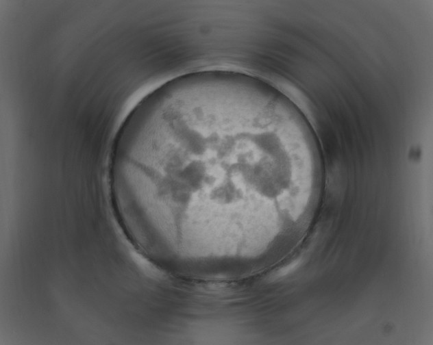 X0000092111149200710101138