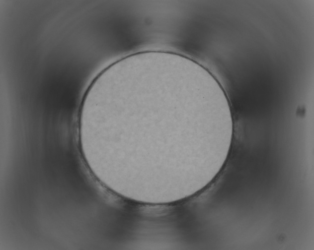 X0000092111150200710101138