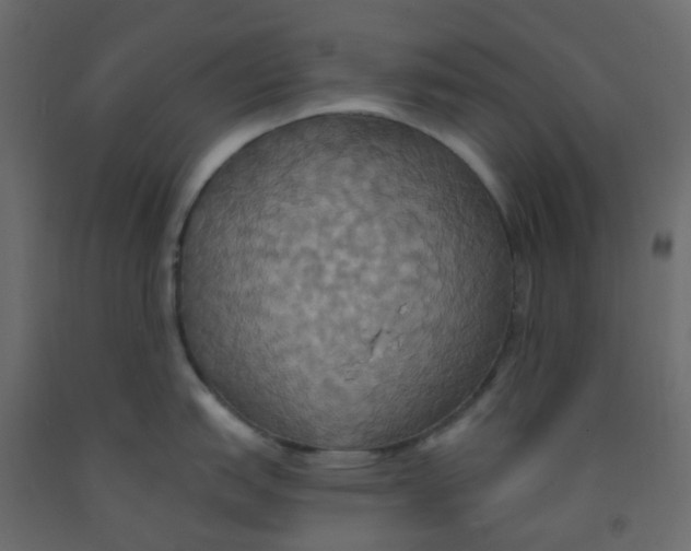 X0000092111151200710101138