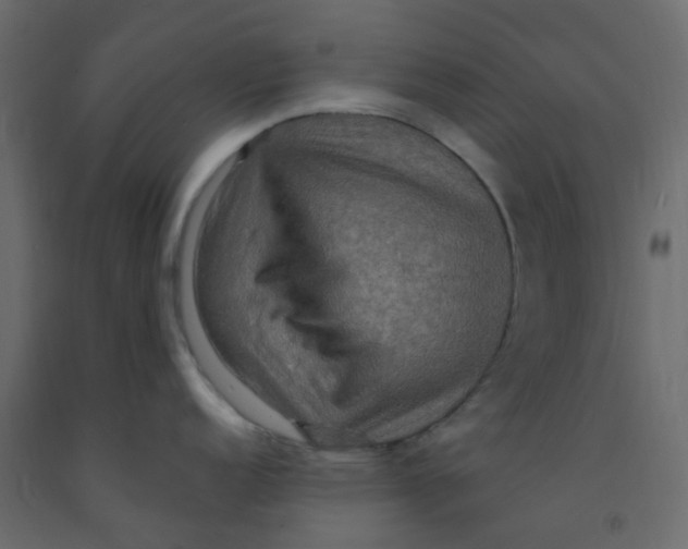 X0000092111152200710101138