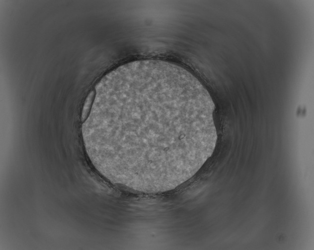 X0000092111153200710101137