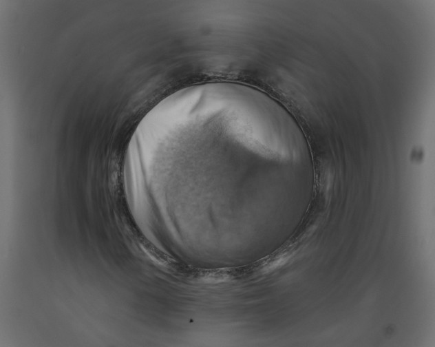 X0000092111154200710101137