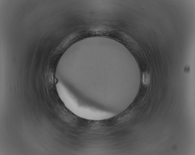 X0000092111155200710101137