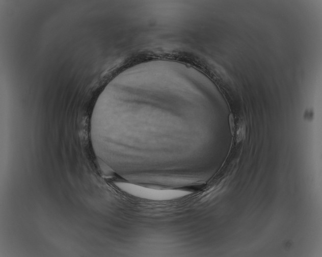 X0000092111156200710101137
