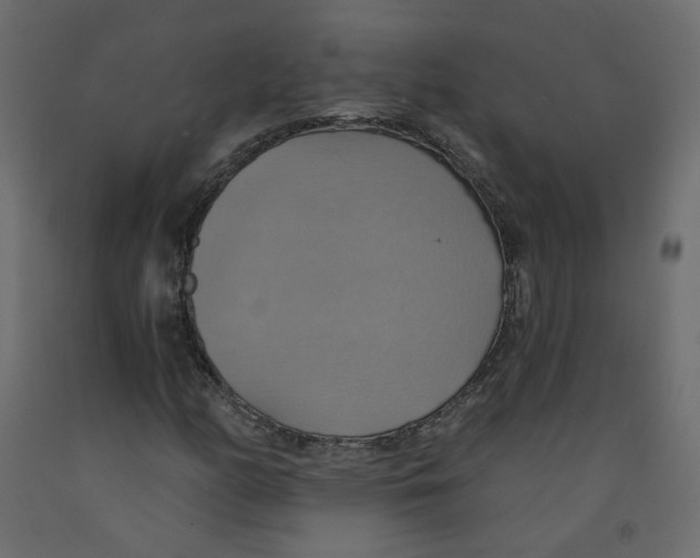 X0000092111158200710101137