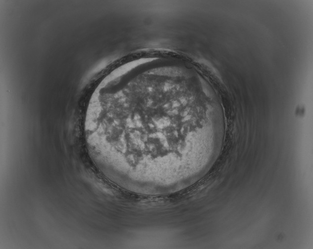 X0000092111159200710101137