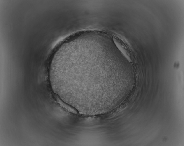 X0000092111160200710101137