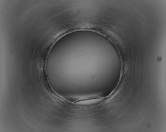 X0000092111161200710101137