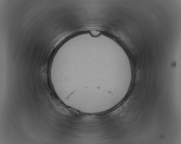 X0000092111162200710101137