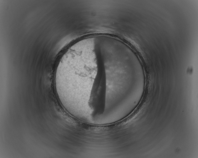X0000092111163200710101137