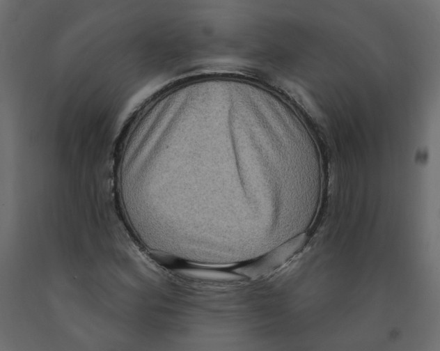 X0000092111164200710101137
