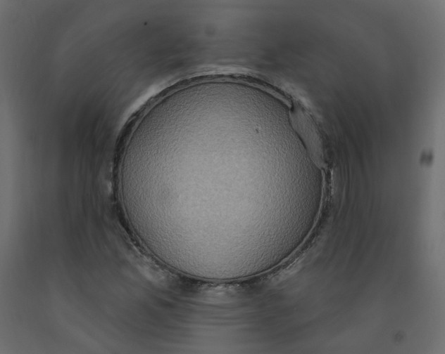 X0000092111165200710101137