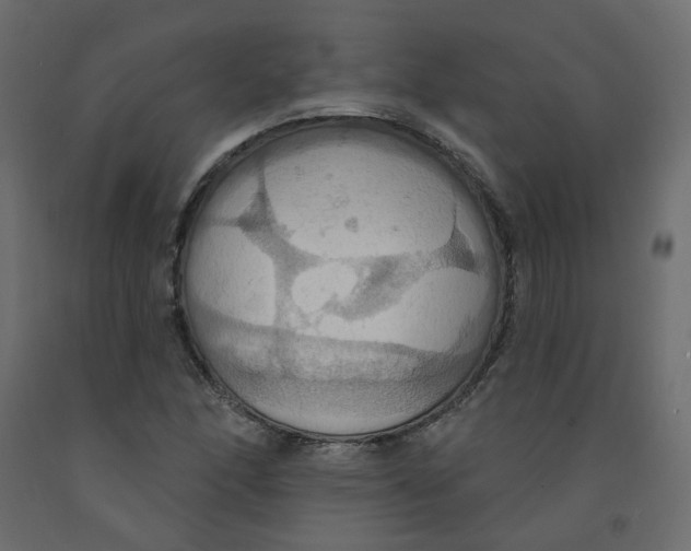 X0000092111166200710101137