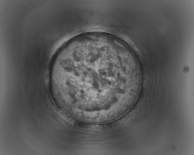 X0000092111167200710101137